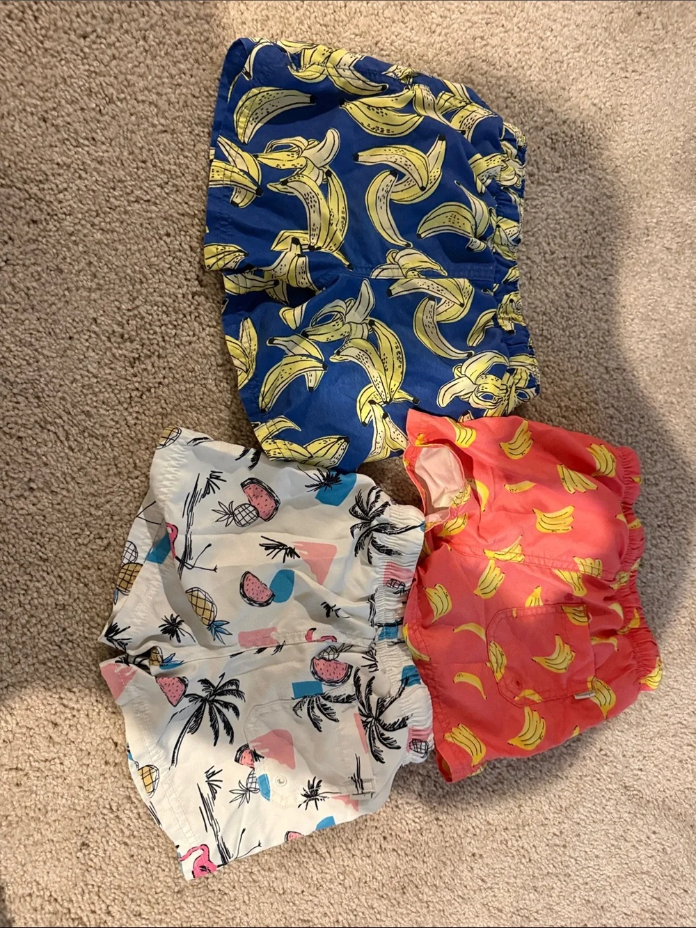 Boy swim trunk bundle 4t